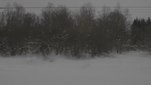 Вид на снежные деревья из окна движущегося поезда — стоковое видео
