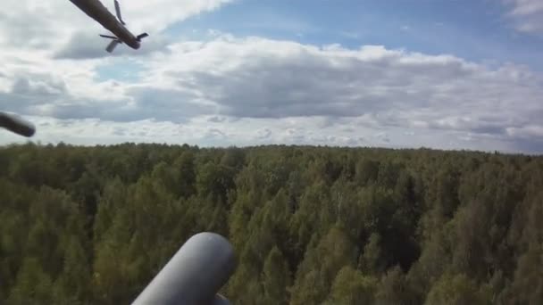 Helikopter ormandan görüntüleyin — Stok video