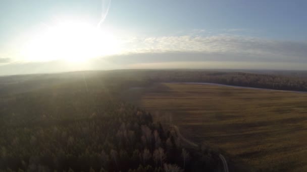 Top uitzicht vanuit ballon op groene veld — Stockvideo