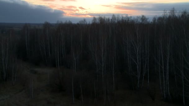 Landschaft in der Dämmerung Luftaufnahme. — Stockvideo