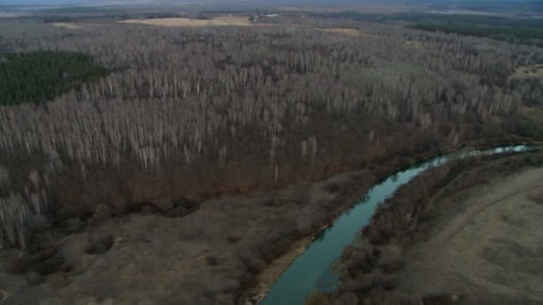 Aerial strzał krajobraz las. — Wideo stockowe