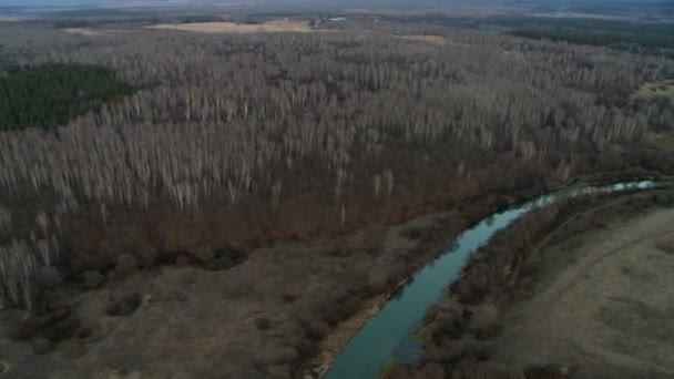 Paysage forestier plan aérien .