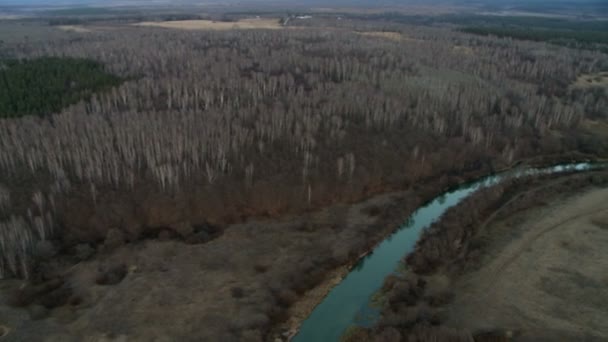 Skog landskap antenn skott. — Stockvideo