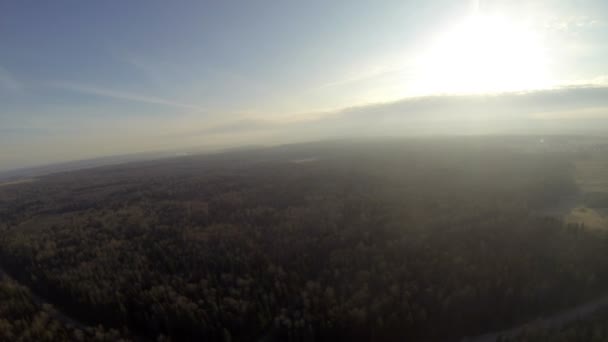 Impresionante vista sobre el bosque en tiempo soleado — Vídeos de Stock