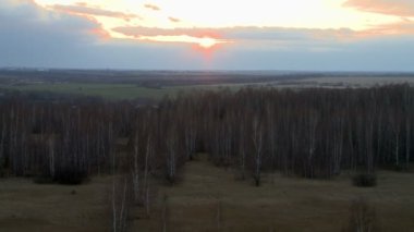 Orman manzara hava atış.