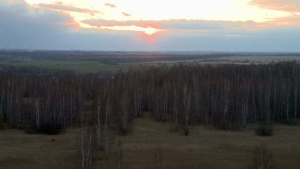 Luftaufnahme der Waldlandschaft. — Stockvideo