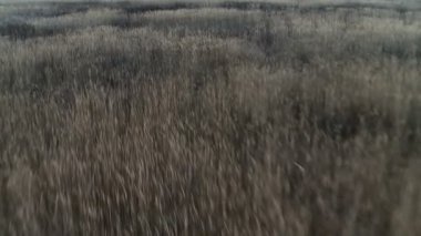 Alan yatay hava atış.