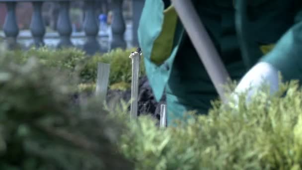 Gros plan du jardinier creusant dans le parc 