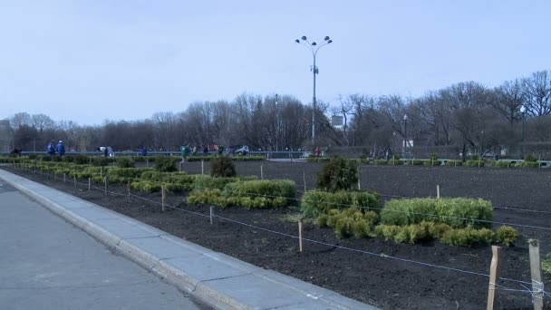 Vista delle pulizie primaverili nel parco cittadino — Video Stock