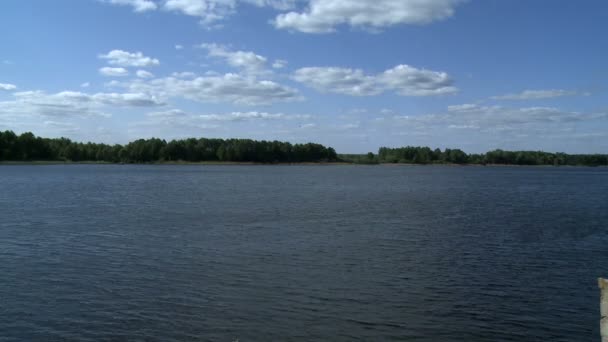 Paisaje de primavera - lago y bosque en la orilla — Vídeos de Stock