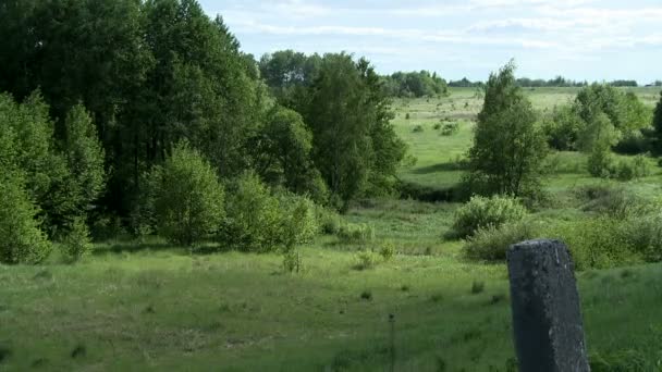 Utsikt över vacker sommar scener - skog och fält — Stockvideo