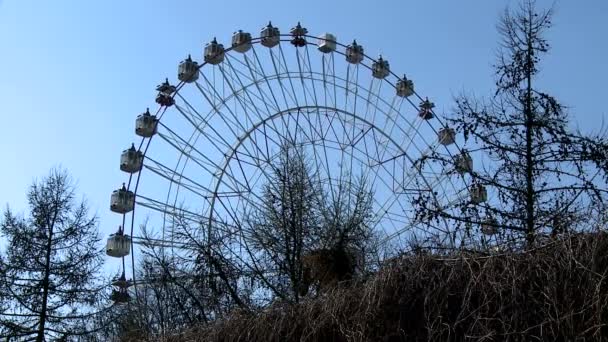 Amusement park. View of Ferris wheel — Stock Video