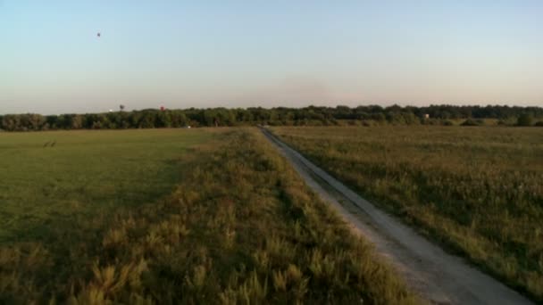 Blick von oben auf das grüne Feld und Luftballons in der Ferne — Stockvideo