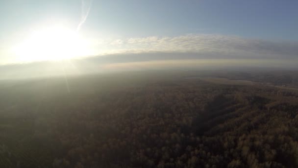 Вид зверху на ліс в сонячну погоду — стокове відео