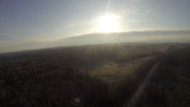 Adembenemend uitzicht op bos bij zonnig weer — Stockvideo