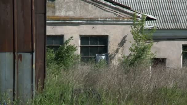 Casa abandonada e floresta — Vídeo de Stock