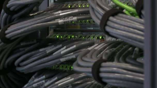 Cables de datos conectados a una potente computadora servidor — Vídeos de Stock