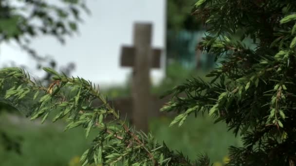 Церковний двір. Вид на могили серед бузкових кущів — стокове відео