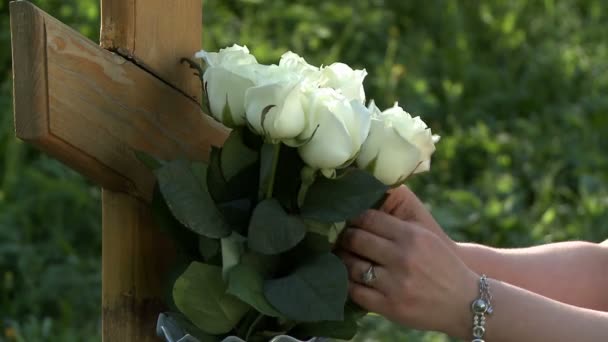 Woman fixes white roses on wooden tombstone — Stock Video