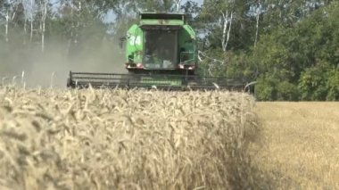 Buğday Tarlasında Hasat Birleşimi Çalışıyor