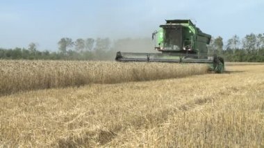 Buğday Tarlasında Hasat Birleşimi Çalışıyor