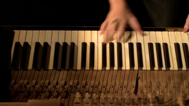 Выступление профессионального пианиста, крупный план — стоковое видео