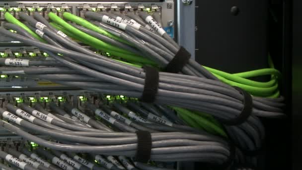 Netzwerkkabel. keine Ausfälle im Serverrechner — Stockvideo