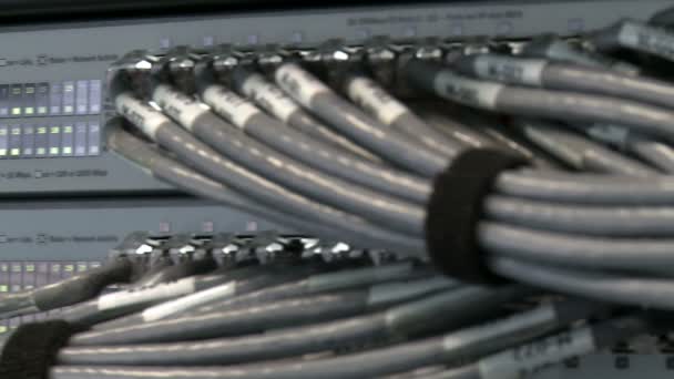 Câbles de données connectés au serveur, gros plan 