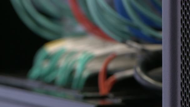 Cables de red conectados al conmutador — Vídeo de stock
