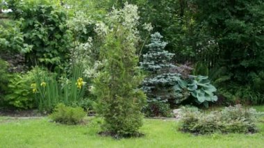 Yaz günü, küçük Bahçe