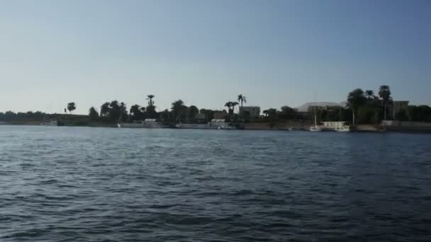 Utsikt över kusten med palmer — Stockvideo