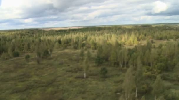 Vista na floresta de helicóptero — Vídeo de Stock