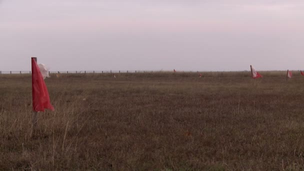 Bandeiras vermelhas no campo — Vídeo de Stock