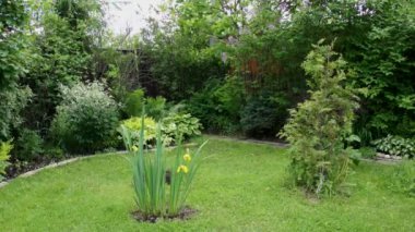 Küçük Bahçe, yaz rüzgarlı gün