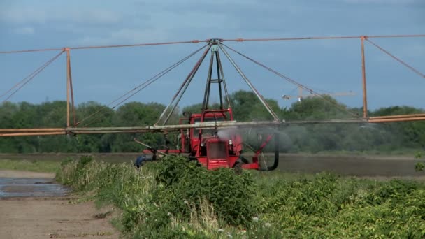 Sistema di irrigazione in azienda — Video Stock