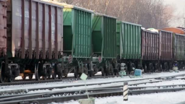 雪冬のロシアの鉄道の貨物列車移動します。 — ストック動画