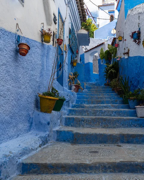 Colorful alley in Chefchaouen medina, know as the blue city for its typical houses and buildings, Morocco