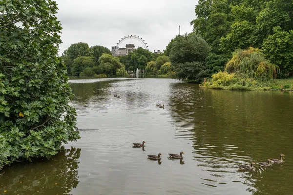 Londra 'nın en ünlü parklarından biri olan St Jamess Park manzarası İngiltere' nin orta Londra 'daki Westminster şehrinde yer almaktadır.
