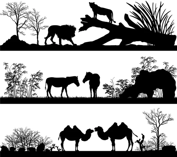 Wild animals (lion, horse, pony, zebra, camel) in different habi — Stock Vector
