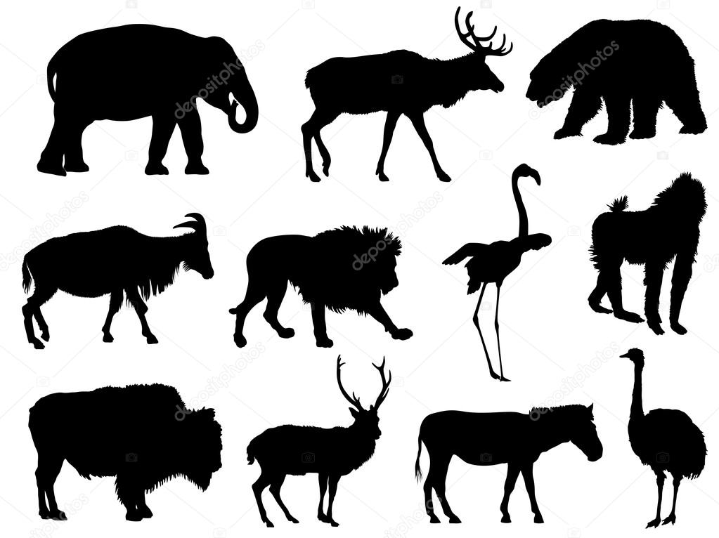 set of animal silhouettes