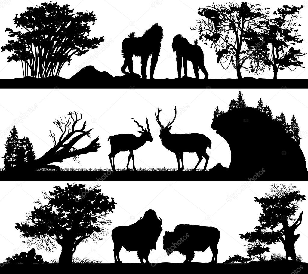 wild animals (monkey, deer, musk ox) in different habitats 