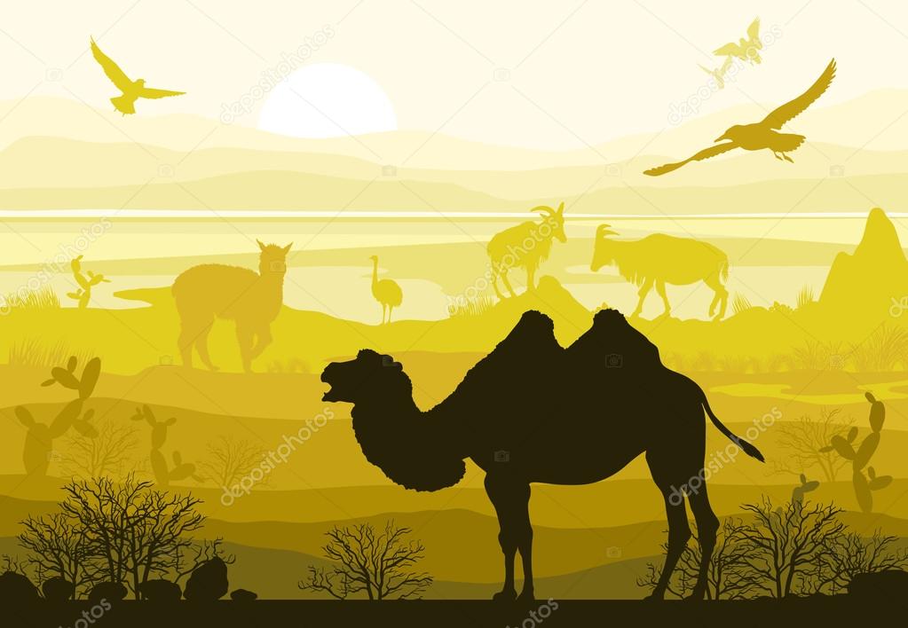 Beauty of nature with wild animals (camel, goat, bird, ostrich, Stock  Vector Image by ©Mirifada #101103266
