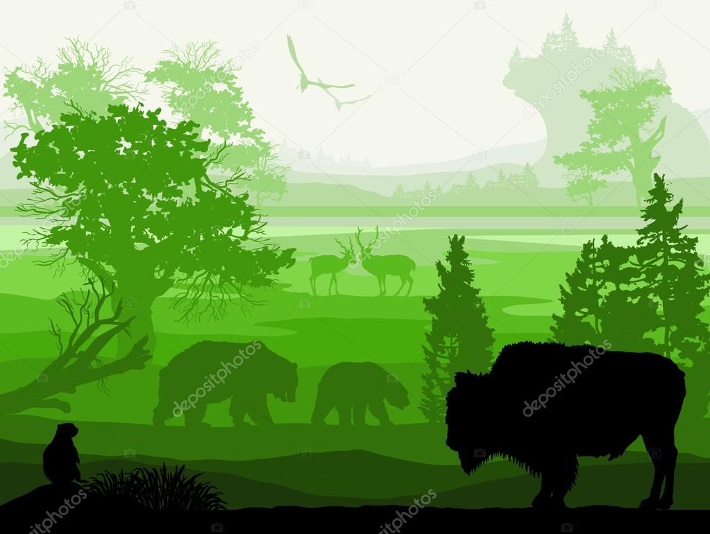 Beauty of nature with wild animals (Musk ox, bear, Gopher, deer, Stock Vector Image by ©Mirifada #101103298 Beauty of nature with wild animals (Musk ox, bear, Gopher, deer, Stock Vector Image by ©Mirifada #101103298