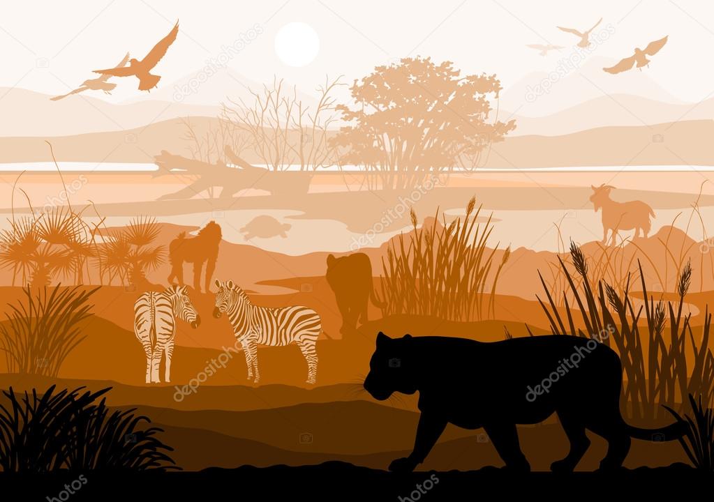 Beauty of nature with wild animals (Tiger, Zebra, goat, bird, mo