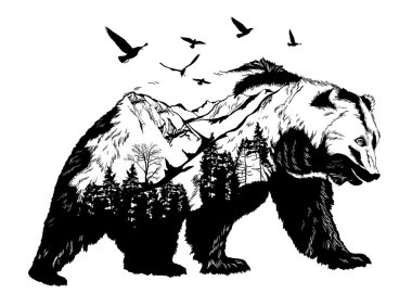 Hand drawn bear for your design, wildlife concept clipart