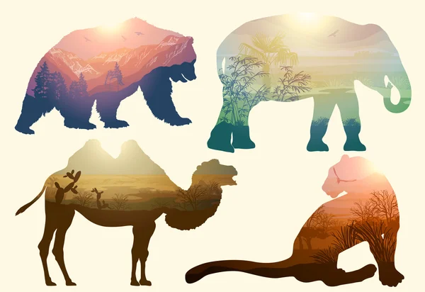 Bear, elephant, camel and Leopard for your design, wildlife conc — Stock Vector