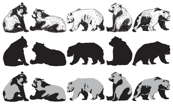 Σύνολο της αρκούδας σε λευκό φόντο — Διανυσματικό Αρχείο