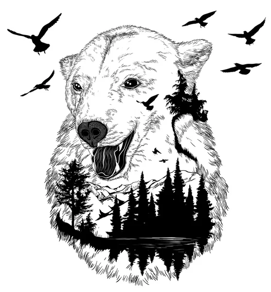 Retrato de urso desenhado à mão para o seu design, conceito de vida selvagem —  Vetores de Stock