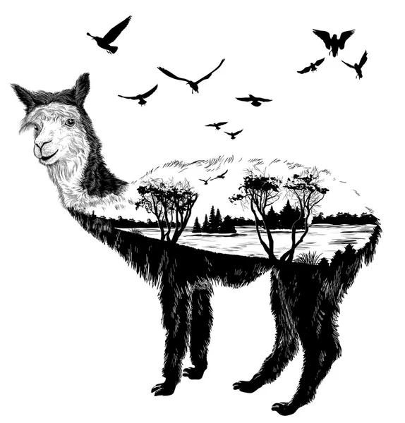 Vector Hand drawn alpaca voor uw ontwerp — Stockvector