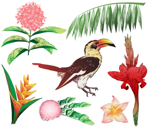 Éléments tropicaux colorés pour votre conception (plantes de jungle et To — Image vectorielle